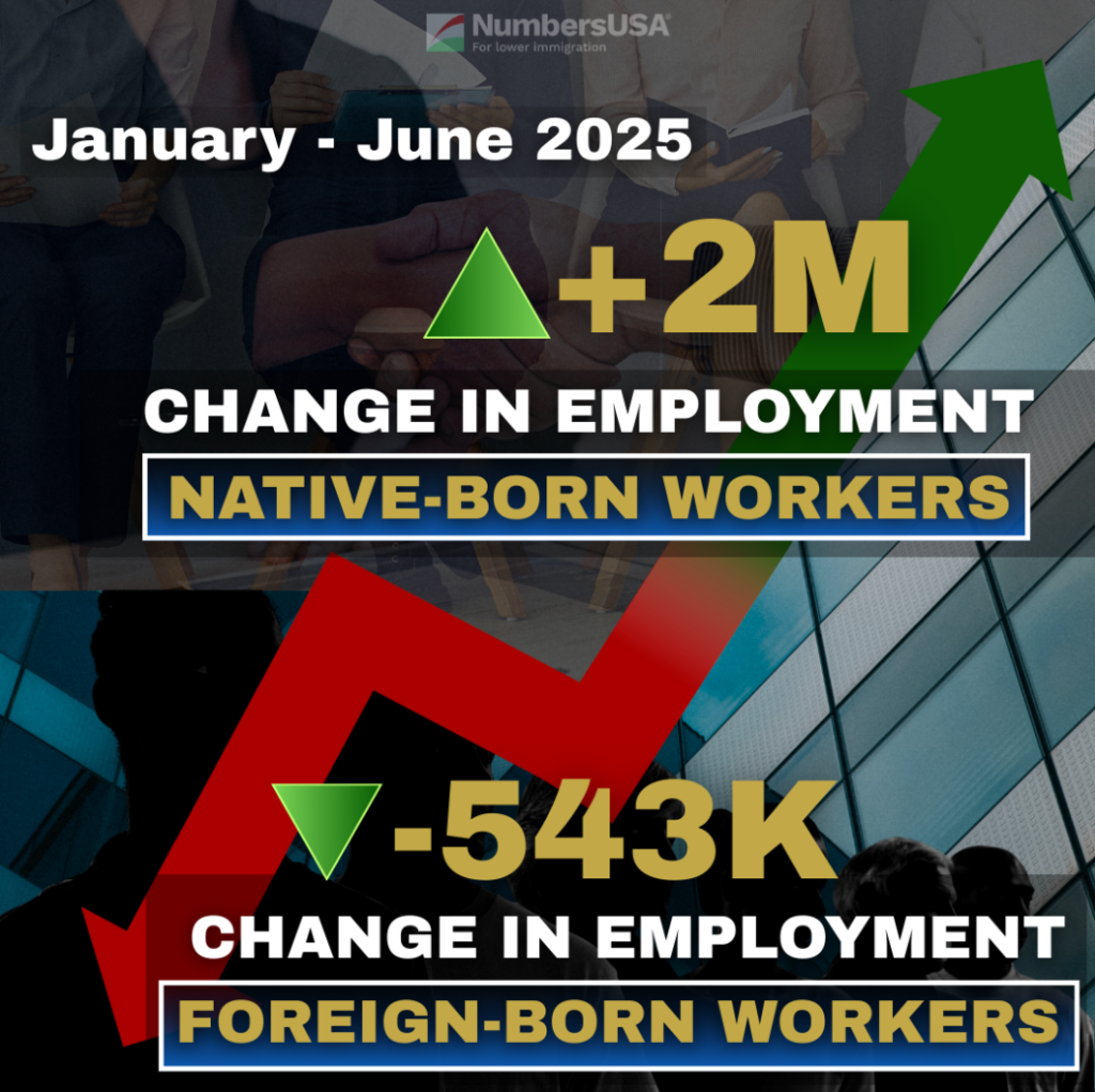 All net job growth January - June 2025 went to U.S.-born workers